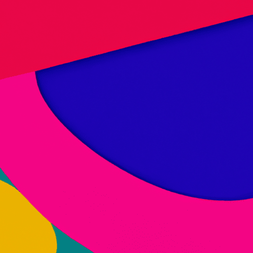 Traduzione professionale per contenuti politici: comunicare messaggi complessi in più lingue