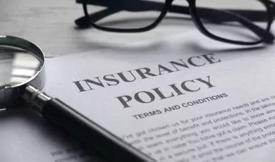 USA Business Policy Overview